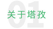 塔孜科技集團(tuán)